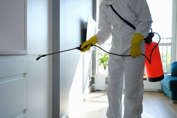 Mold Remediation for Vacation Homes in Weston Lakes, TX