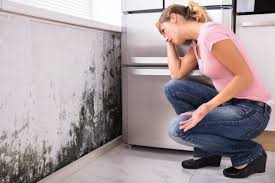 Weston Lakes, TX Mold Remediation Company