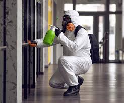 Mold Removal for HVAC Installations in Weston Lakes, TX